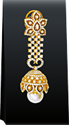 DNSEL Img 01, Rikhava Diamonds