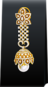 DNSER Img 01, Rikhava Diamonds